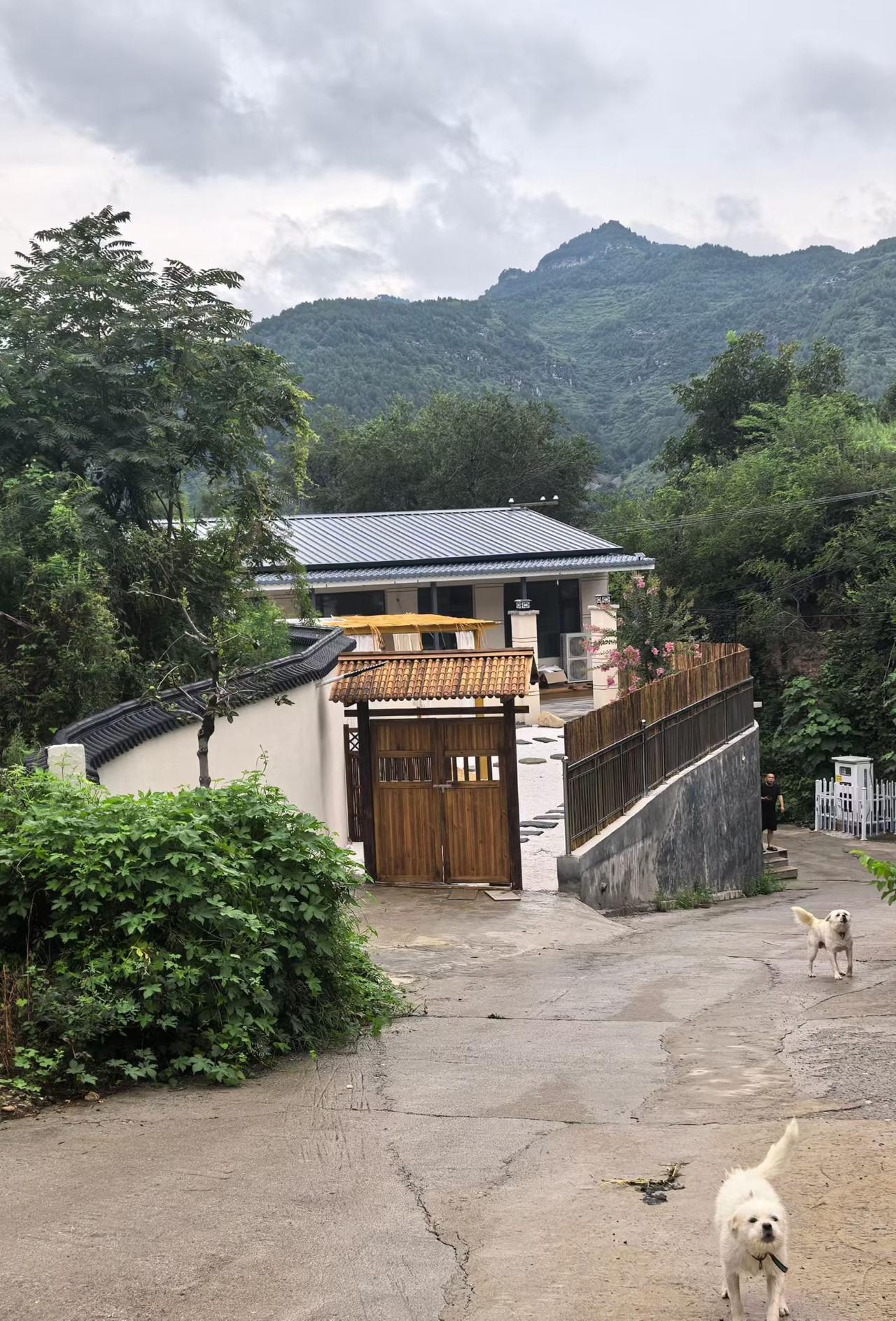 山村依然朴实无华