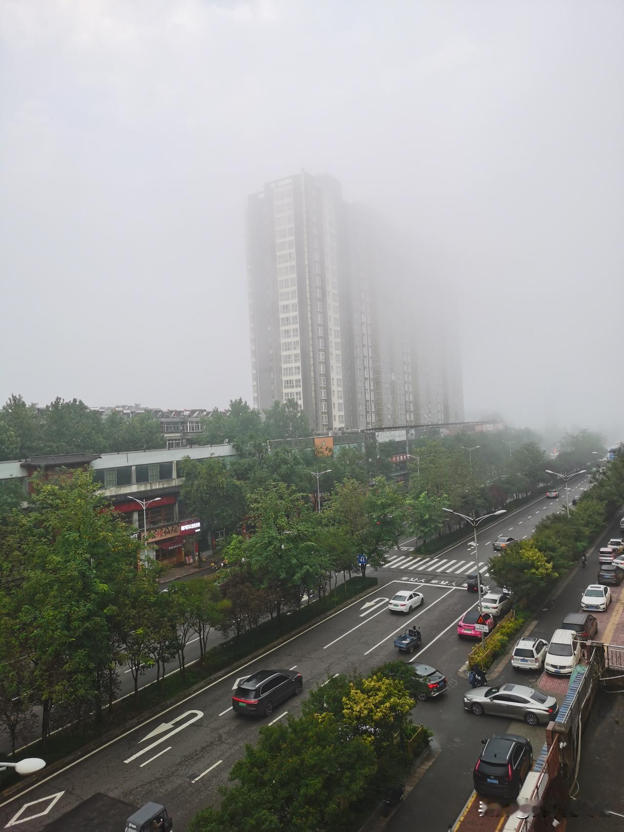 仙气飘飘了
雨走了
雾来了
整个西安被仙气所笼罩