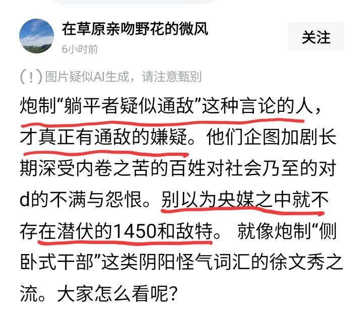 不是带了 国字号名头就能代表国家！