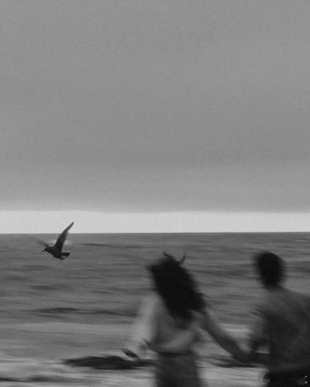 自由热烈浪漫｜Estherscanon  - Estherscanon 是夏威夷