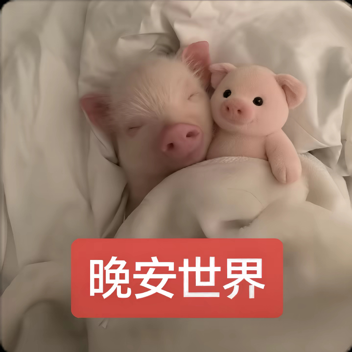 ΘωΘ睡觉觉 