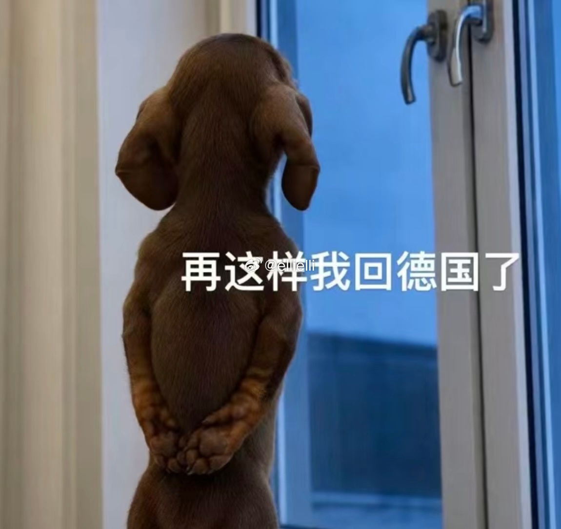 个子矮 没文化 不识字 一分钱也没有 我儿子这个条件在婚恋市场是不是没任何希望 