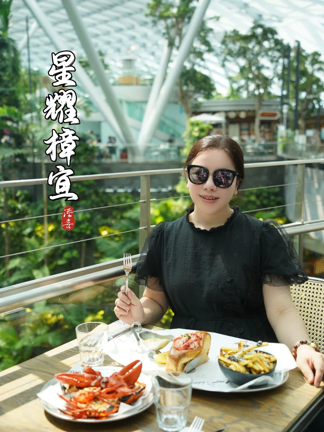 🧧别只把星耀樟宜当中转站——新年第一趟出发，应该留给瀑布下的花园 	...