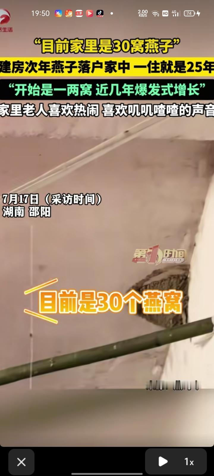 7月17日，邵阳市邵阳县。伍女士称，房子于2001年建成，燕窝是2002年左右来