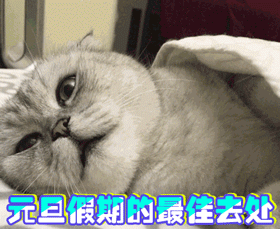 8天很短 7天很长没办法欢乐的时光总是过的特别的快[doge]，马上就要补假期了