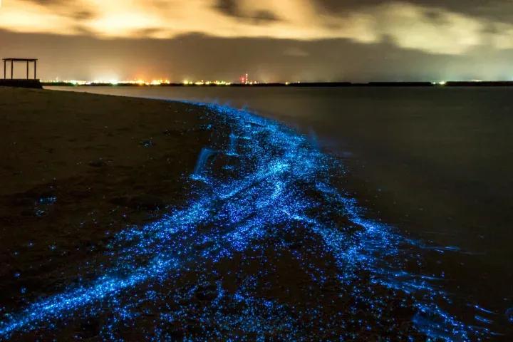 马尔代夫有一片夜晚能发光的海滩。

马尔代夫，这个美丽的岛国，有着无数令人惊叹的