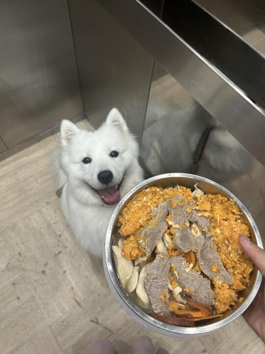 去给好朋友七月送饭咯！