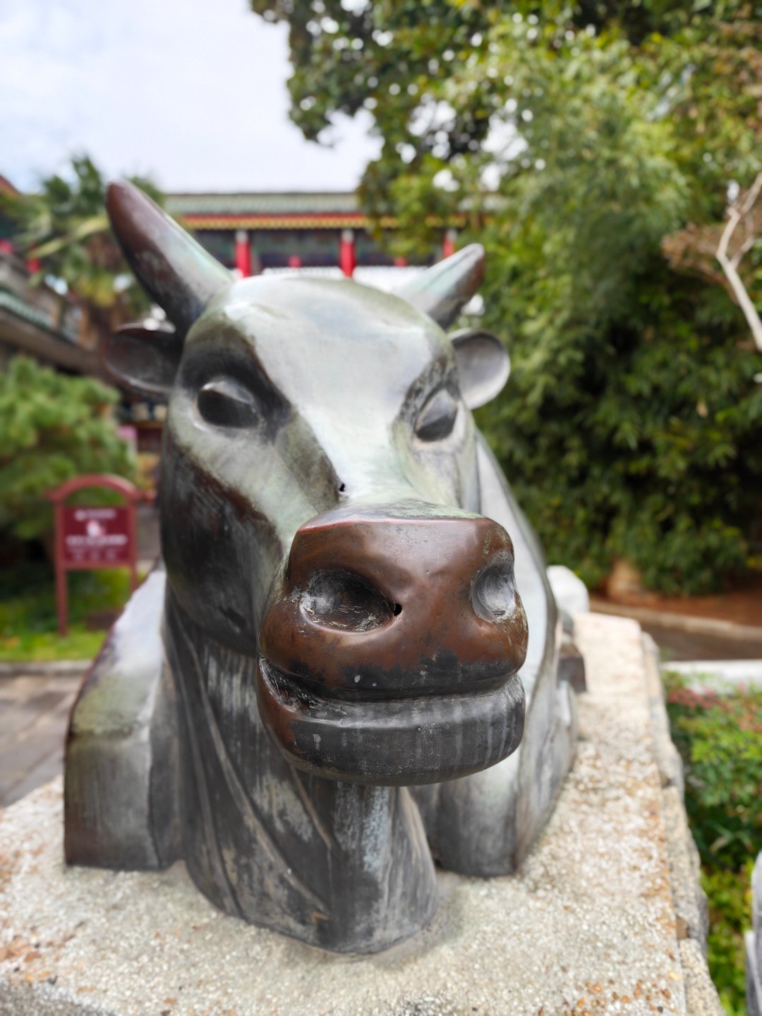 牛市要多摸摸牛头 