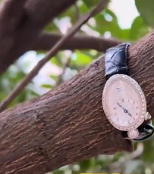 捡到东西上交还是自己拿走呢？这位大爷就会有素质，捡到了手表之后直接挂在树枝上。