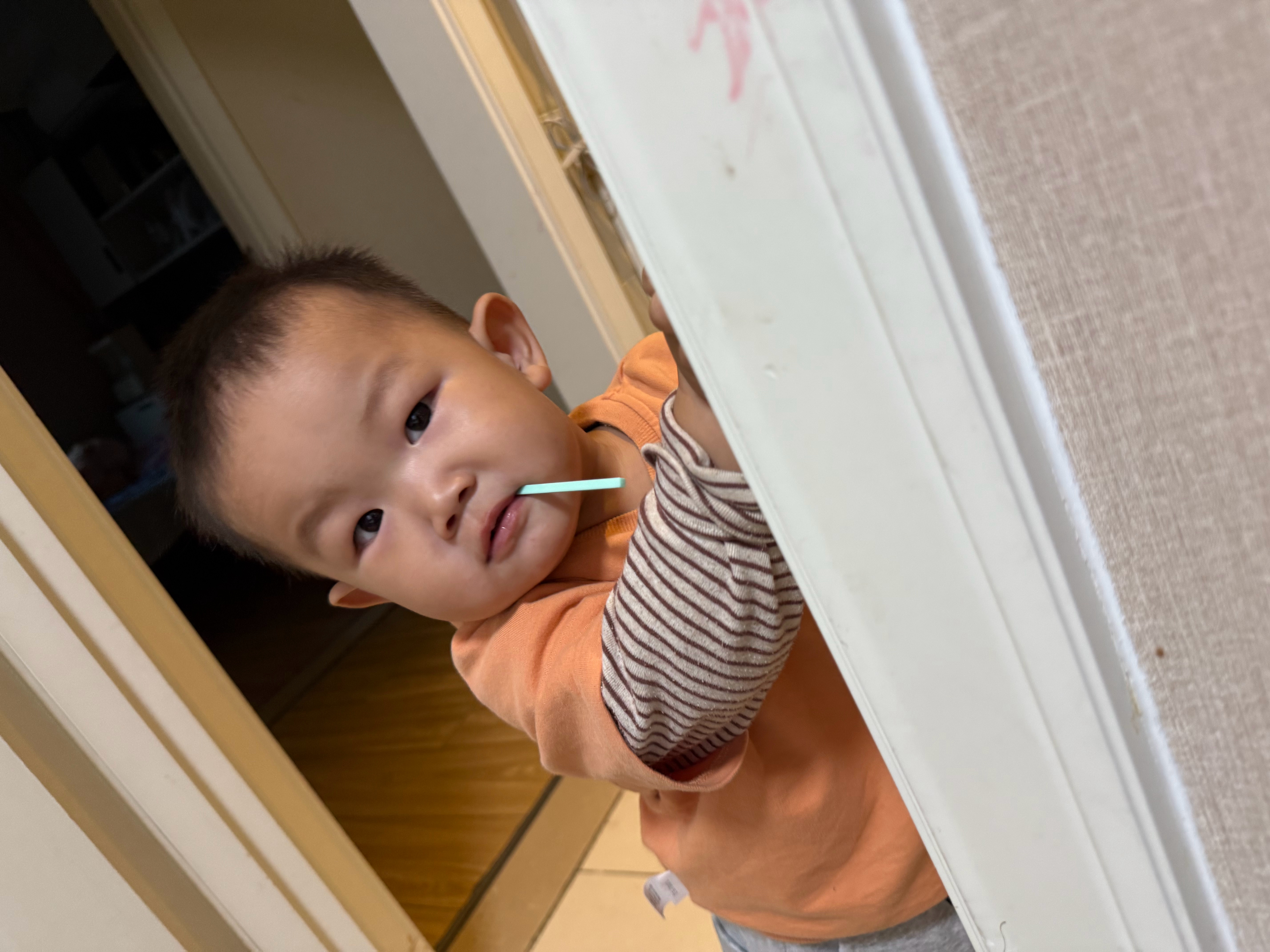 早上好，一只小宝出现～让我想起来“圆圆的脑袋大大耳朵” 
