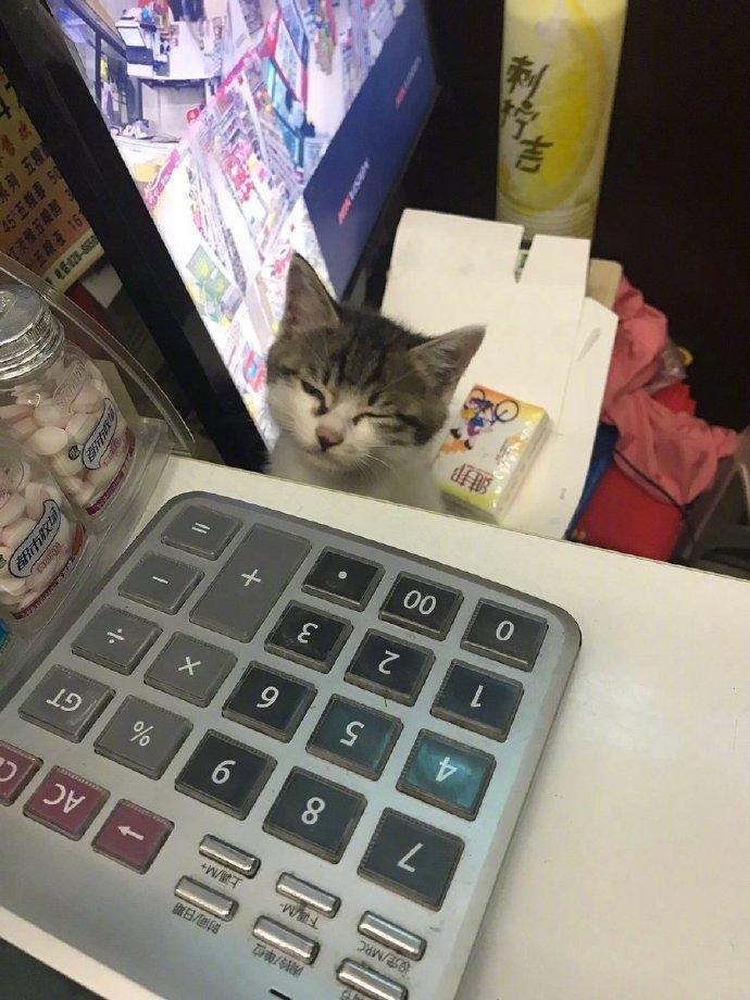昨天，光顾了猫老板的店。