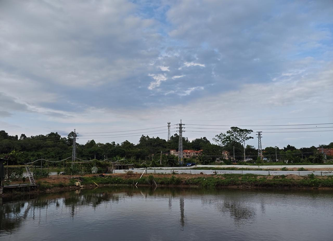 晒出你的本地生活蓝天白云鱼塘，乡村之美我在家乡晒风景 乡村美景风光照 农家乡村风