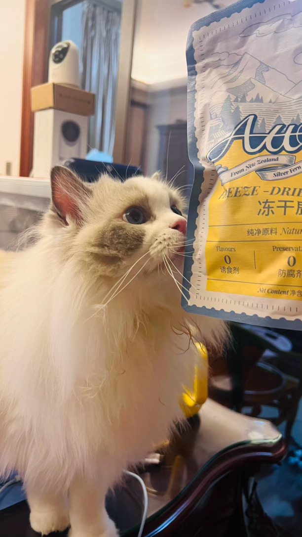 闹闹：渴望