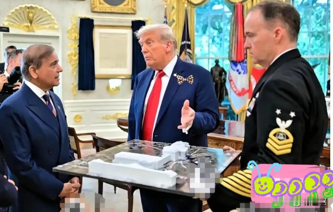 就在刚刚!
巴基斯坦肠子都悔青了 !
刚拿美国5亿稀土投资，中国技术管制新规直接