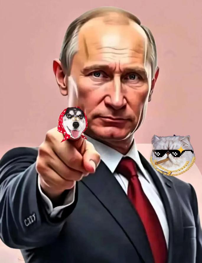 果然被猜中了
10月31日俄罗斯总统普京宣布！
俄罗斯国防部当地时间10月30日