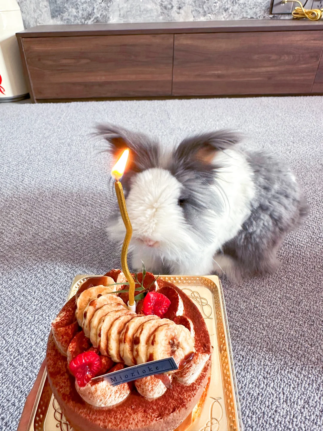想吃蛋糕…强行给胖师傅过22个月生日🎂