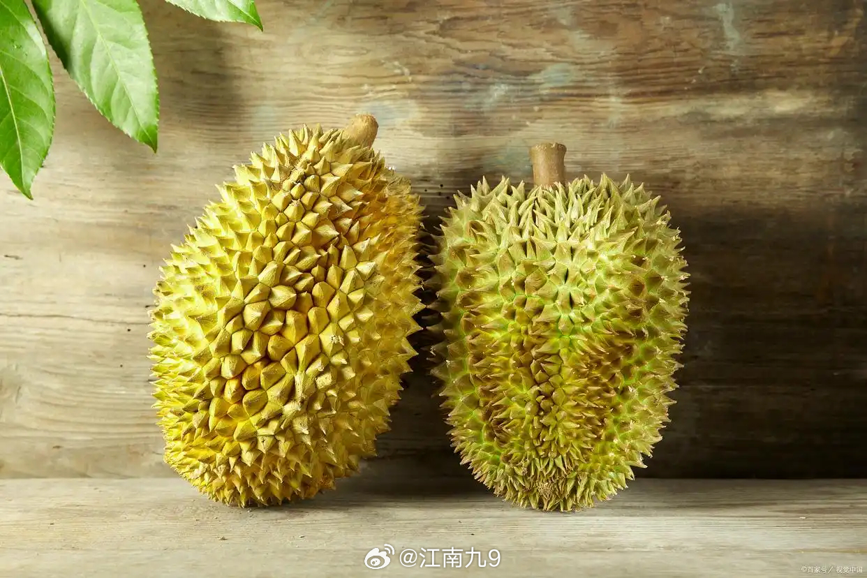 高考前千万不要吃榴莲好小众的考前注意事项！家长真正该记住的不是“盯住榴莲”，而是