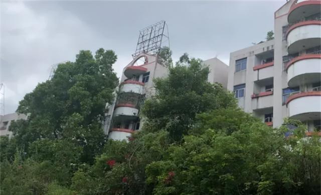 八旬北大毕业生独居广州山中烂尾楼：自己开荒种菜，路上常遇毒蛇
马敏庄老人可不是没