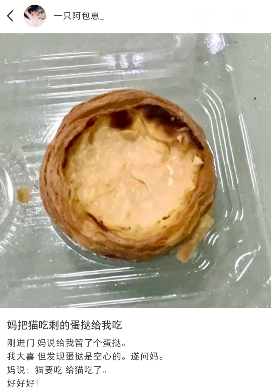 猫给人留了蛋挞，猫好[赞]#龙年造梗大赛##猫# ​​​