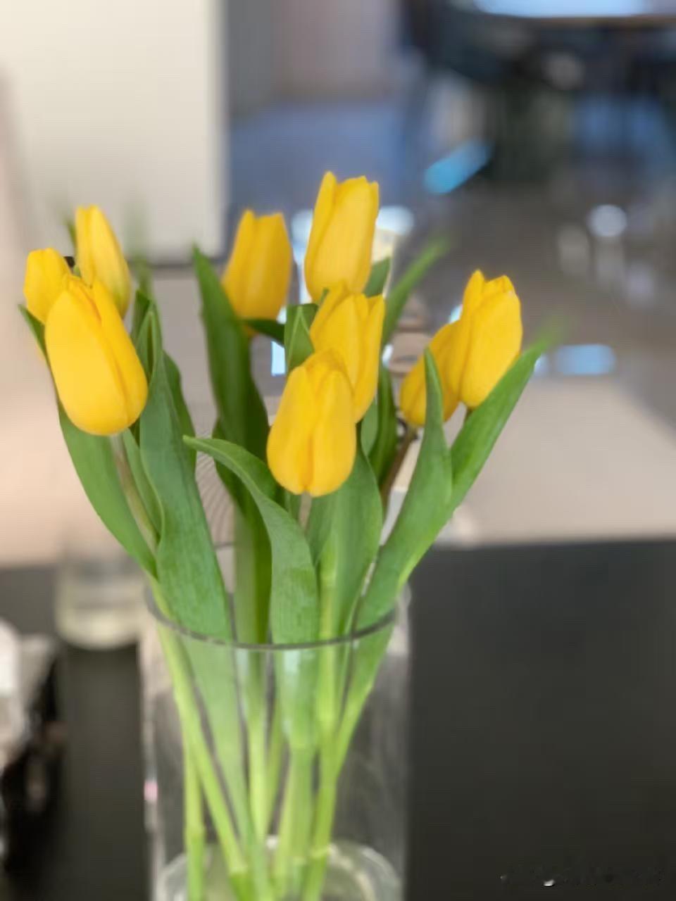 分享我这周有趣的事：谁说生活一定要轰轰烈烈？就像这束郁金香，安安静静地开着，就把