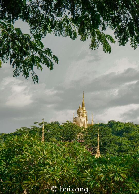 谁懂啊❗被自己做的版纳攻略满意到睡不着❗