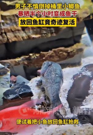 解释不清了!

河南这位大哥的经历，这两天在网上传得挺火。他倒掉桶里的旧水时，没