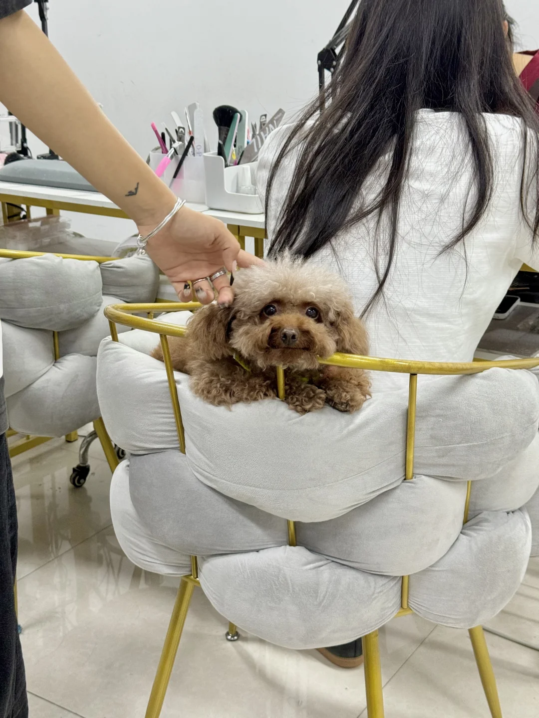 小狗抱枕！