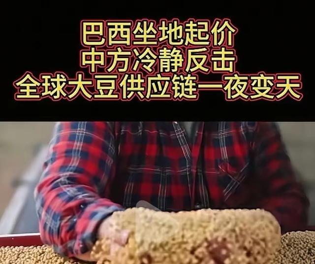 全世界都以为中国是傻瓜，人傻钱多，都在等机会狠狠敲诈中国一笔，巴西大豆握着中国7