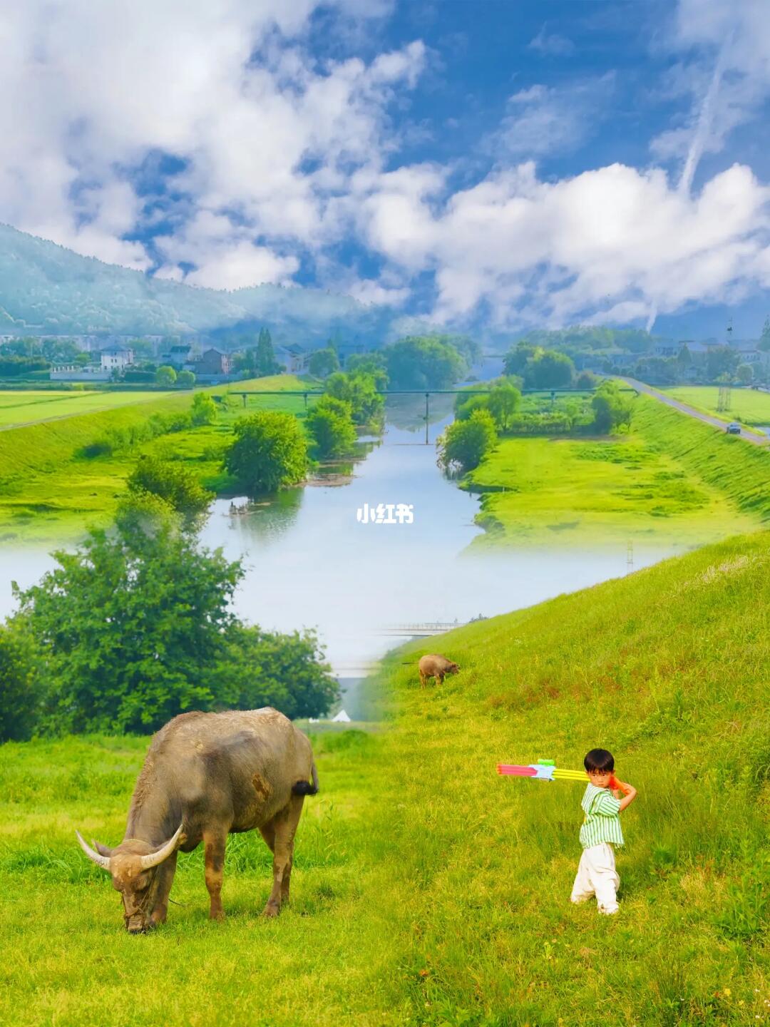 杭州旅游/初夏的第一场露营太哇塞了👏