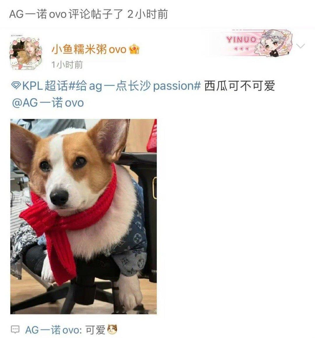 #西瓜是一诺诱捕器# 西瓜粉头一诺，只要有西瓜出没，一诺肯定在[喵喵][喵喵] 