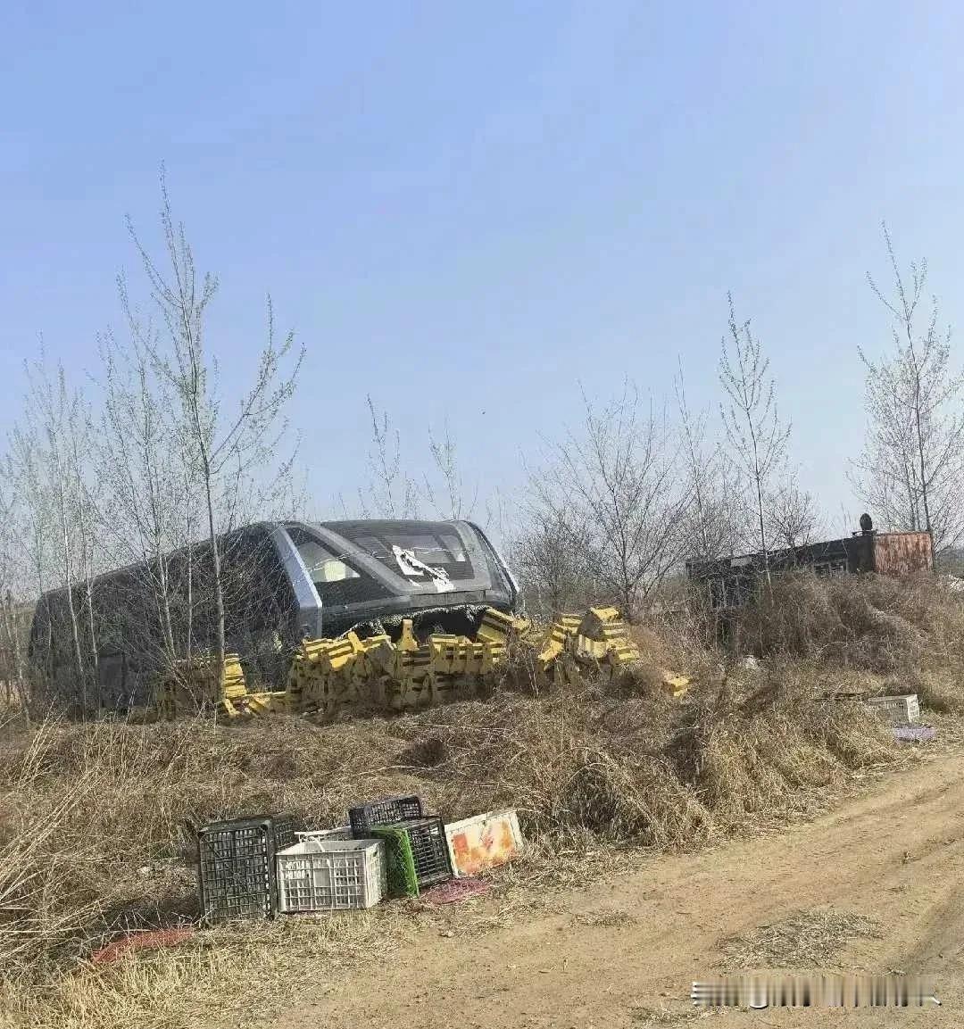 这货当年叫啥来着？巴铁？