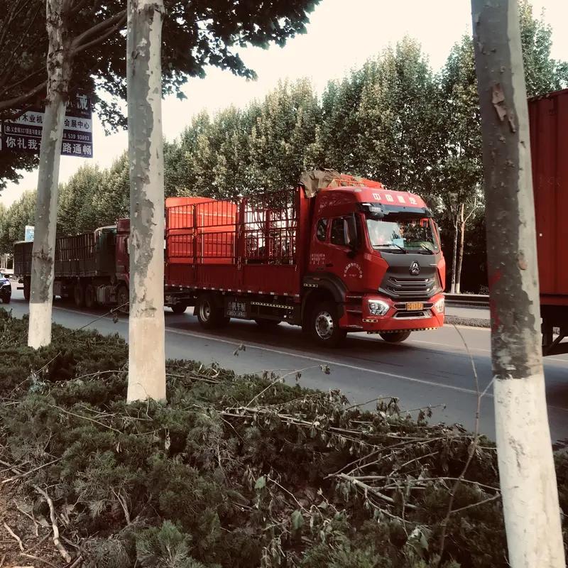 4月9日晚，一位挂着鲁H牌照的大货车司机，宛如高速公路上的“超级保镖”，用他的车