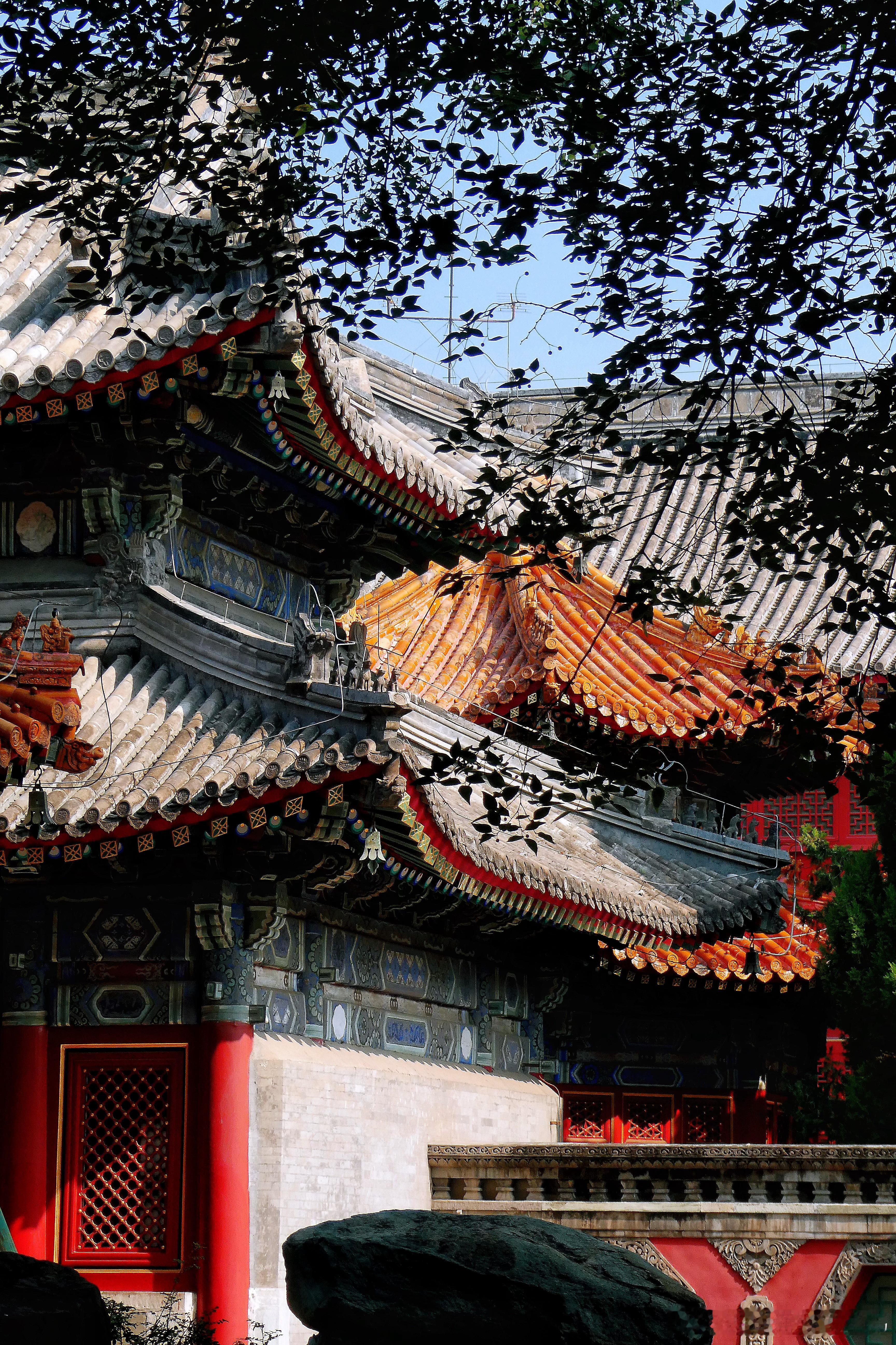 万寿寺位于紫竹院西北侧、紧邻西三环，是皇家寺院，乾隆帝曾经为其母祝寿，重修万寿寺