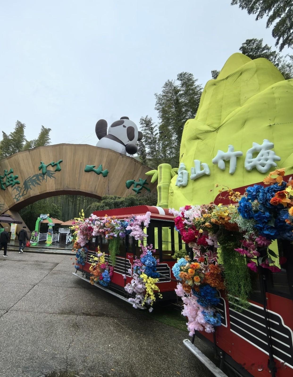 晒出你的本地生活常州南山竹海也太治愈了吧！在竹林里徒步真的太爽了！阳光透过竹叶洒