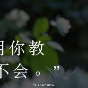 情感语录 🌹 “他若爱你，不用你教；他若不爱，教不会。”（《半生缘》）“一个人