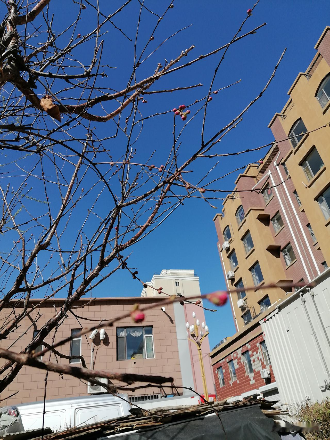 我整磕碜了，这两天总是迷路。

昨晚，六点半多，将近七点钟，我和大姐洗完澡，大姐