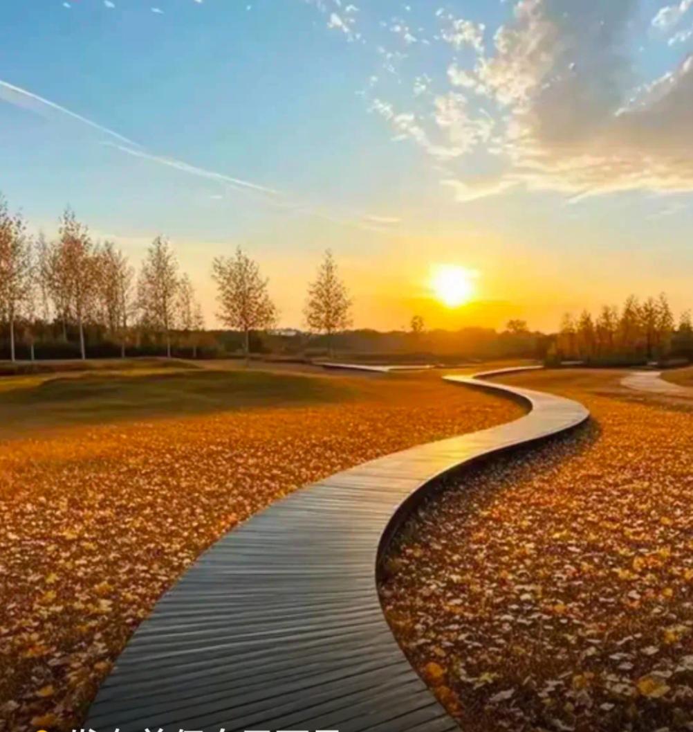 分享一张最近随手拍的照片