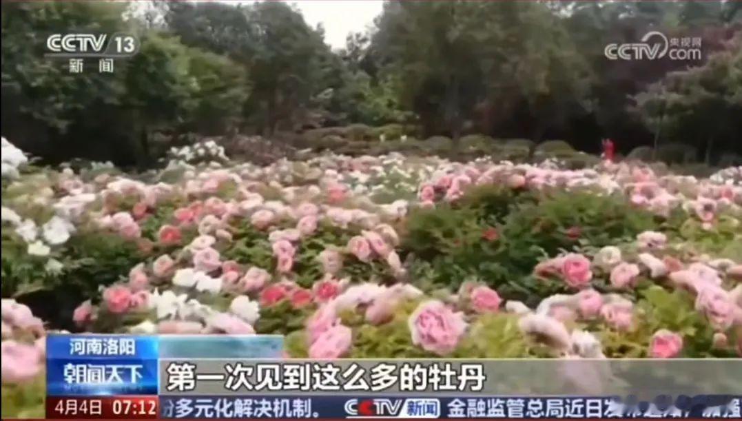 当你深入了解河南的非遗瑰宝时，就会被先辈们的智慧所震撼。它们连接着过去、现在与未