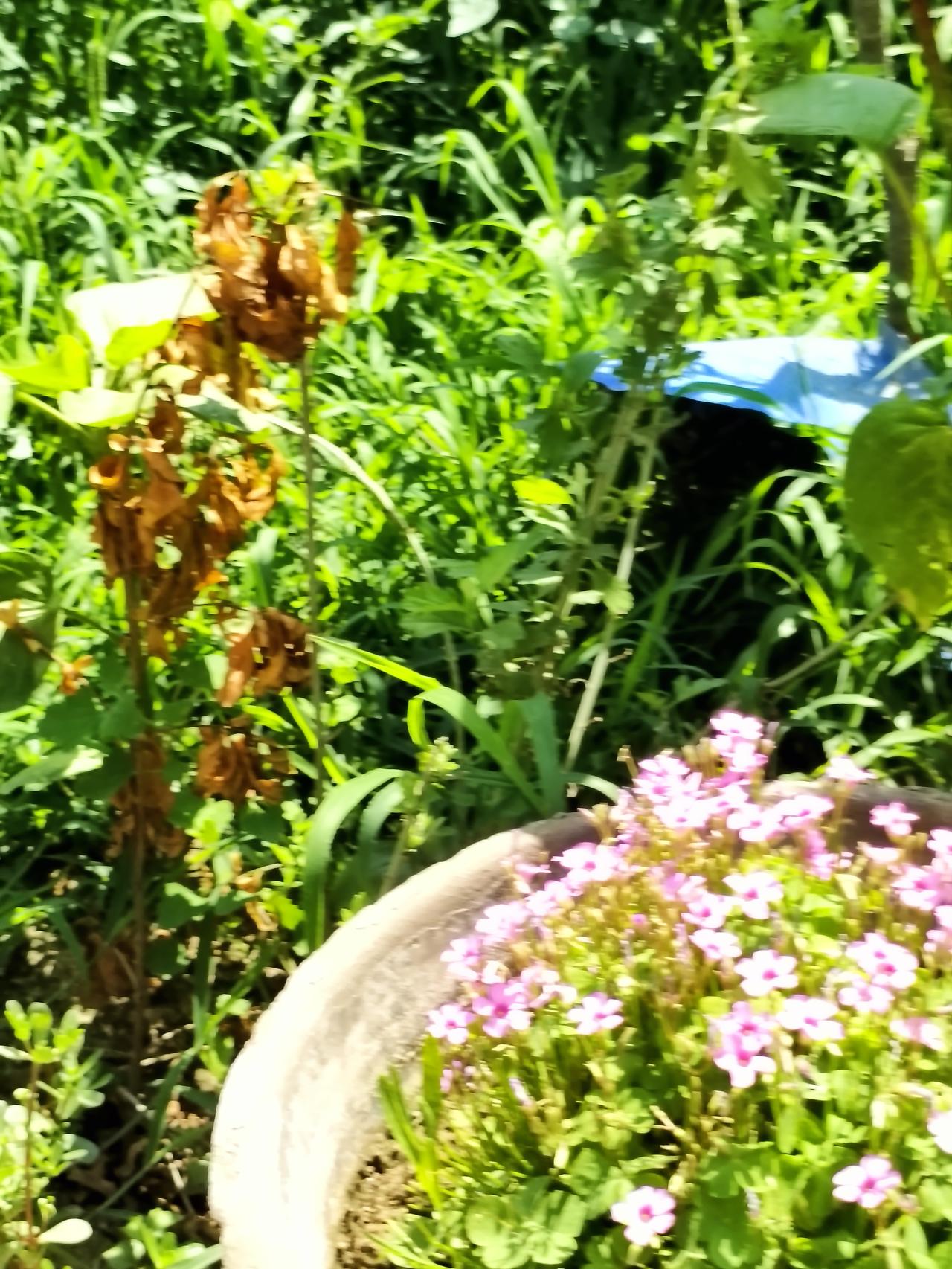 酷暑时节，我更偏爱风扇，自然风更贴合日常舒适感。风扇靠流动空气带走体表热气，不用