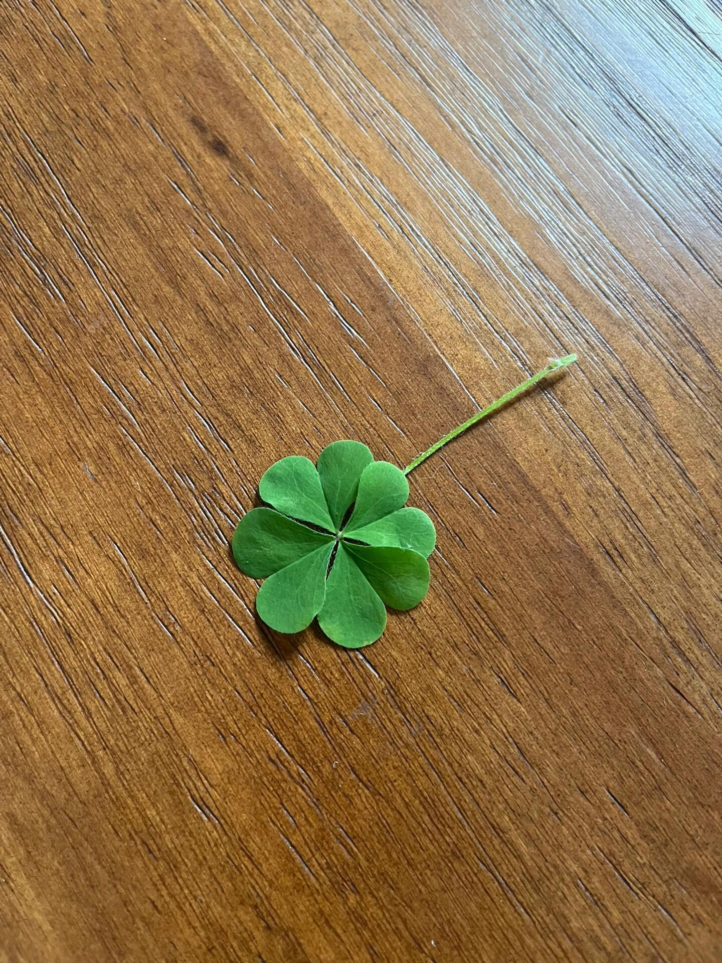 立秋是你转好运的开始🍀 