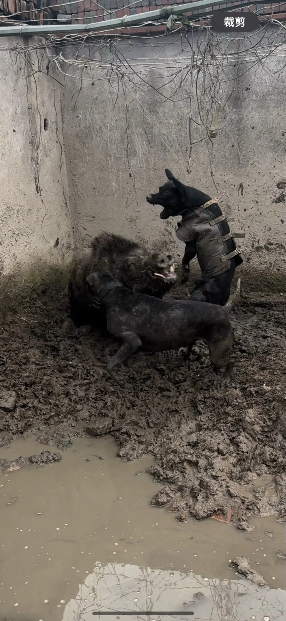 The longest day has an end. 最难过的日子也有尽头。