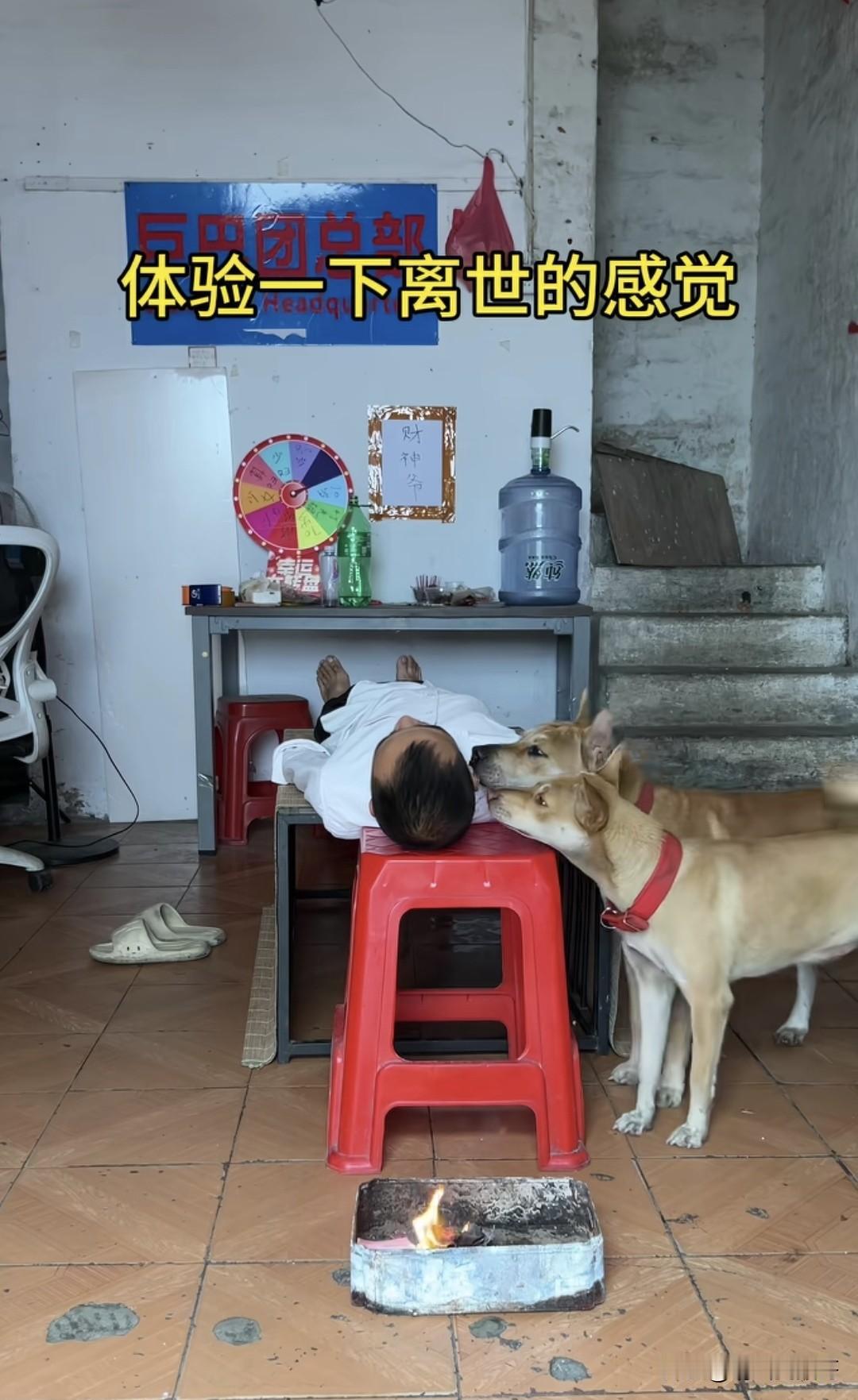 为了视频爆火，啥都敢拍，真牛！！！