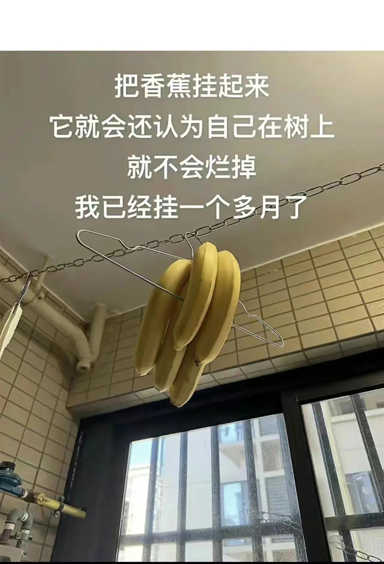 谁说的啊？把香蕉挂起来有利于很好的储存。
#这香蕉熟了吗# 
#香蕉与生活# 
