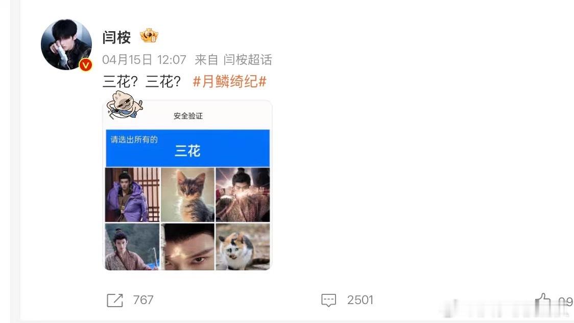 闫桉邪恶三花猫笑得我不行了，闫桉我就问问你你能选中所有的三花喵喵么。谁不为我们邪