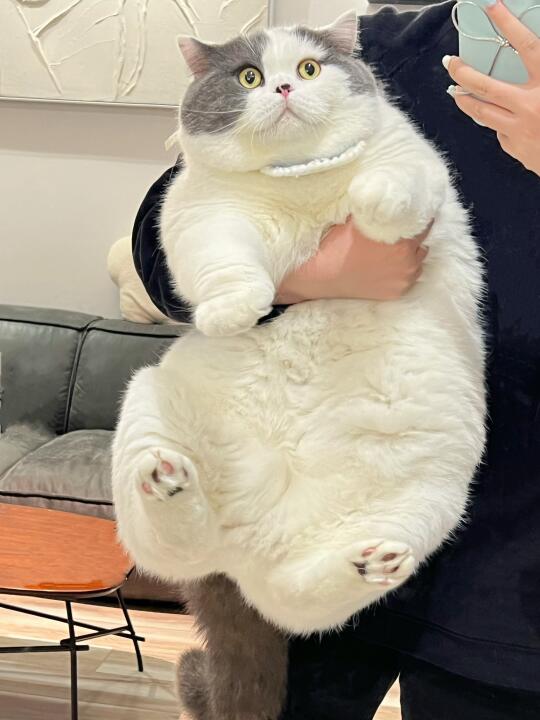 宝宝，你是一只大冬瓜