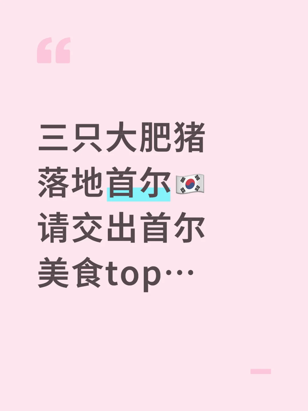 急急急！！三只大肥猪落地首尔🇰🇷