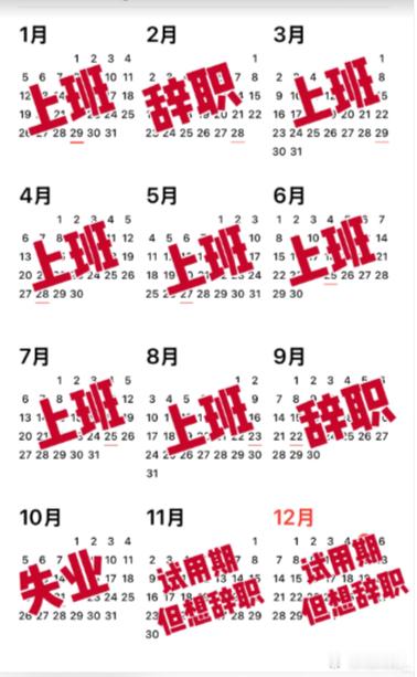 2025年只上了9天班 这就是牛马的一年 