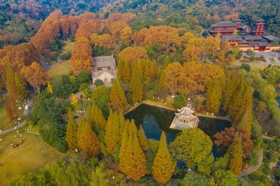 秋阳习家池，七夕遇清欢
 
九月十九日，恰逢农历七月初七，浪漫七夕。临行前翻看气