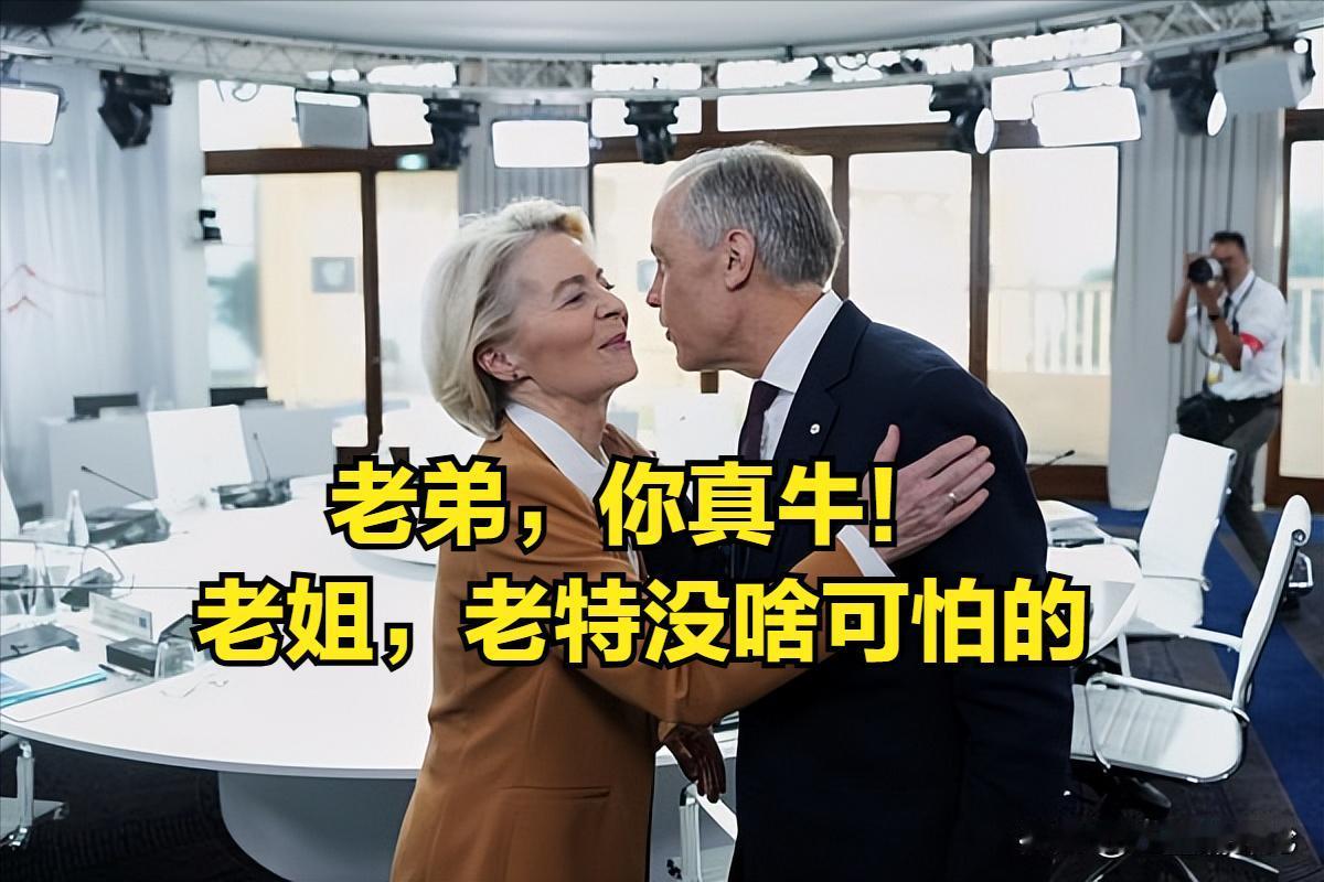 为什么加拿大敢硬刚美国，欧盟面对美国的时候却畏畏缩缩，看一张图就明白，欧盟是多么