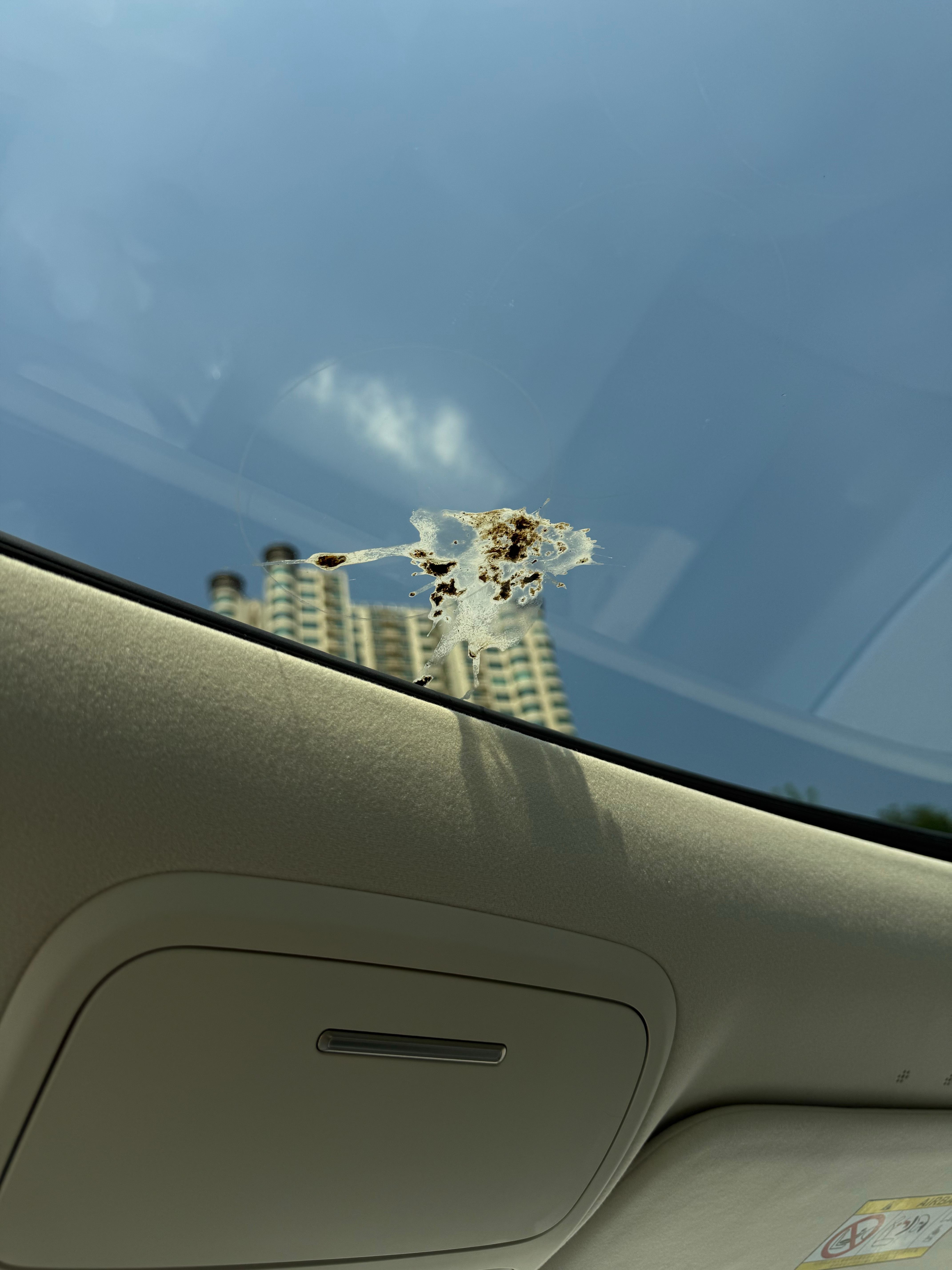 全景天幕抬头就是风景，天空有多美，太阳就有多热情[doge]当然，偶尔还会有鸟兄